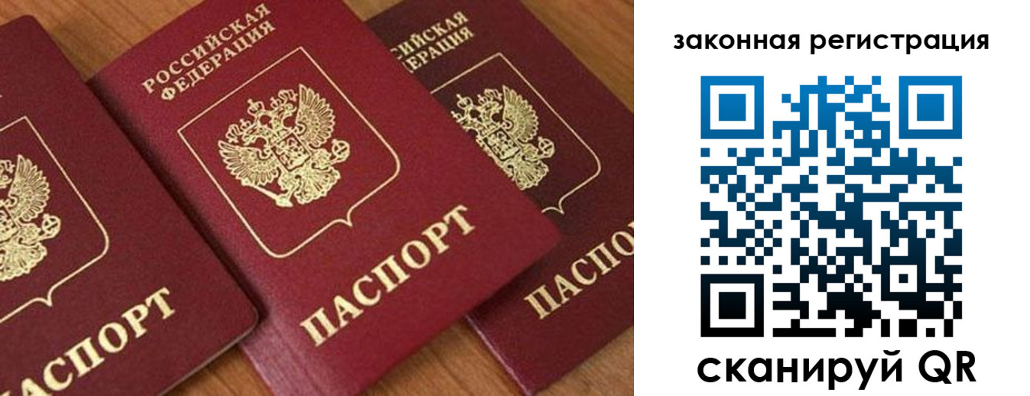 прописка 2025 в Луге